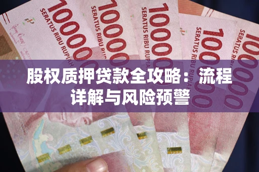 武汉股权质押贷款全攻略：流程详解与风险预警