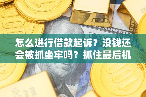 武汉怎么进行借款起诉？没钱还会被抓坐牢吗？抓住最后机会！