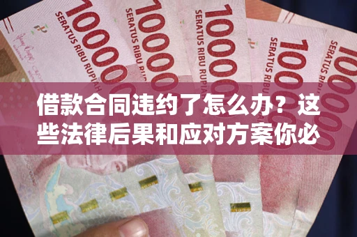 武汉借款合同违约了怎么办？这些法律后果和应对方案你必须知道