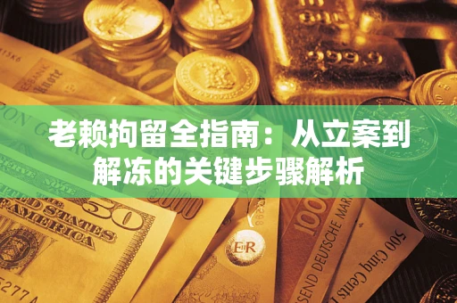 武汉老赖拘留全指南：从立案到解冻的关键步骤解析