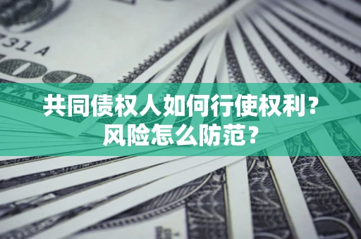 武汉共同债权人如何行使权利？风险怎么防范？