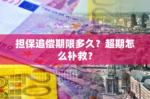 武汉担保追偿期限多久？超期怎么补救？