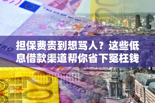 武汉担保费贵到想骂人？这些低息借款渠道帮你省下冤枉钱