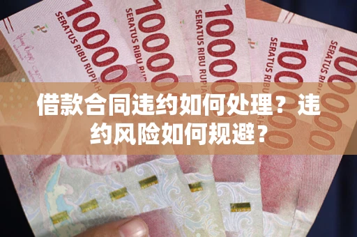 武汉借款合同违约如何处理？违约风险如何规避？