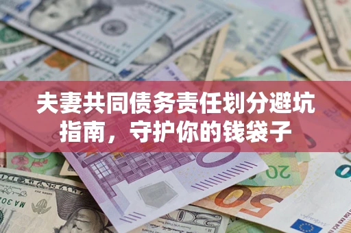 武汉夫妻共同债务责任划分避坑指南，守护你的钱袋子